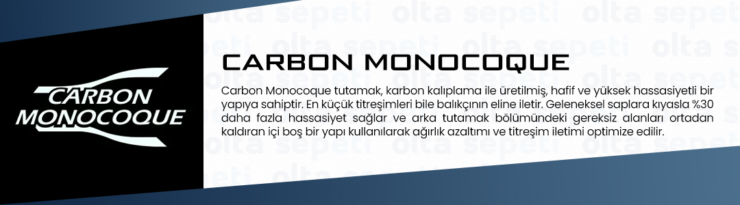 (Carbon Monocoque).jpg (184 KB)