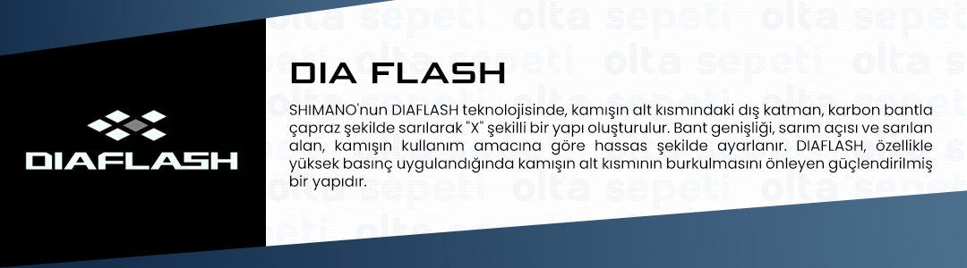 dia flash.jpg (172 KB)