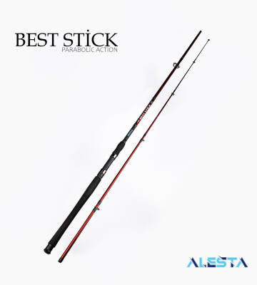 BEST STICK 165 CM 50-100G 2P - 1