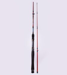 BEST STICK 165 CM 50-100G 2P - 2