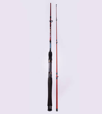 BEST STICK 165 CM 50-100G 2P - 2