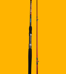 BEST STICK 180 CM 50-100G 2P - 3