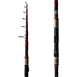 Big Fish 3.60m 60-120gr Karbon Tele Kamış - 2