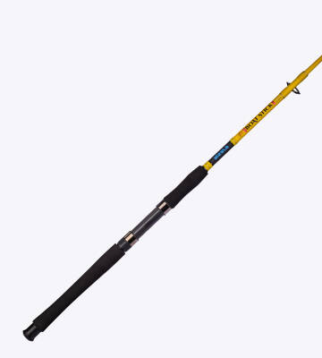 BOAT STICK 150 CM 10-20 LBS 2P BOT - 3