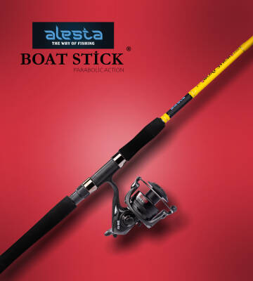 BOAT STICK 150 CM 10-20 LBS 2P BOT - 4