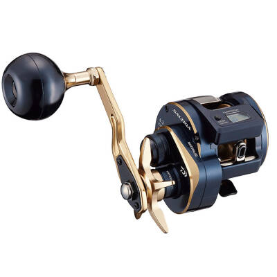 Daiwa 21 Saltiga IC 300 Çıkrık Makara (Sağ El) - 1