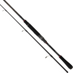 Daiwa Ballistic X 244cm 14-42 Olta Kamışı - 2