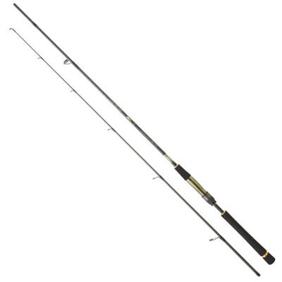 Daiwa Crosscast Df 2.44m 7-28gr 2p Spin Kamış - 1