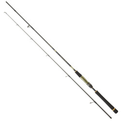 Daiwa Crosscast Df 3.05m 28-84gr 2p Shore Jig Kamış - 1