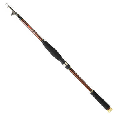 Daiwa Crossfire SL 270cm Tele Kamış - 1