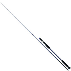 Daiwa Exceler Oceano 193cm MAX180 Olta Kamışı - 1