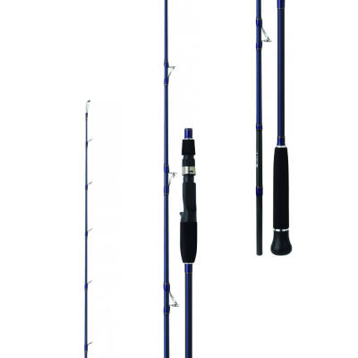 Daiwa Exceler Oceano 193cm MAX180 Olta Kamışı - 2