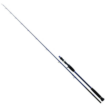 Daiwa Exceler Oceano 198cm MAX250 Olta Kamışı - 1