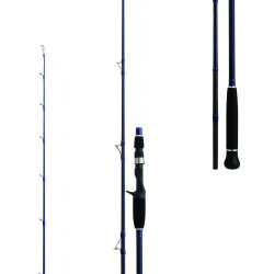 Daiwa Exceler Oceano 198cm MAX250 Olta Kamışı - 2