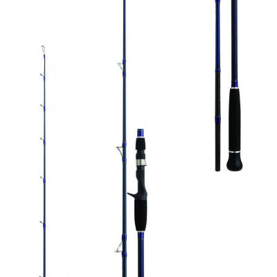 Daiwa Exceler Oceano 198cm MAX250 Olta Kamışı - 2