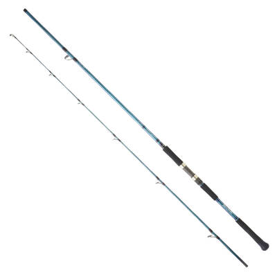 Daiwa Grandwave 2.90M 28-84gr 2P Shore Jig Olta Kamışı - 1