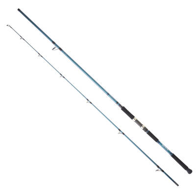 Daiwa Grandwave 3.05M 60-120gr 2P Shore Jig Olta Kamışı - 1