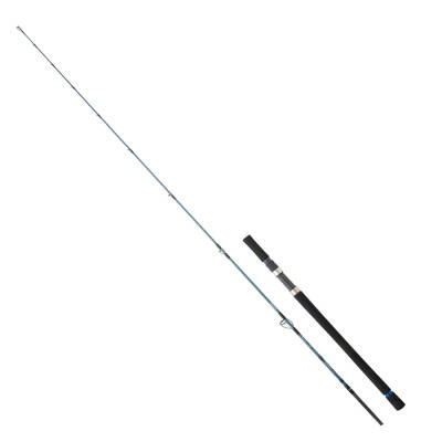 Daiwa Grandwave SJ 1.98M 180GR 2P Jig Olta Kamışı - 1