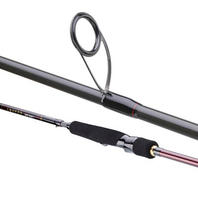 Daiwa Infeet Seabass 2.13m 14-42gr 2P Kamış - 4