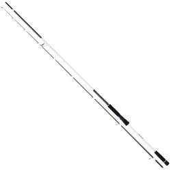 Daiwa Infeet Seabass II 272cm 14-42gr Seabass Kamış - 1