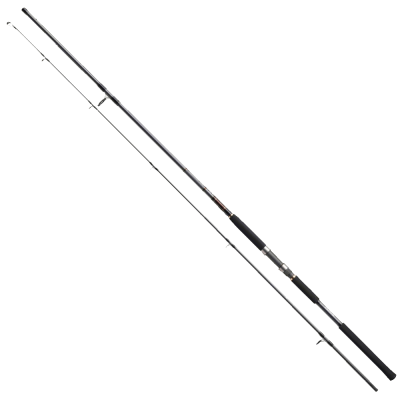 Daiwa Jig Caster M Serisi 290cm Olta Kamışı - 1