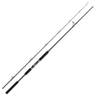 Daiwa Jig Caster MX 96M 290cm Jig Kamışı - 1