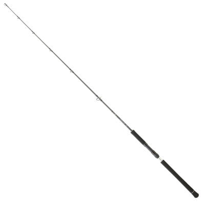 Daiwa Legalis O BF JG 1.73m 100-300gr Tek P. Jig Kamış - 1