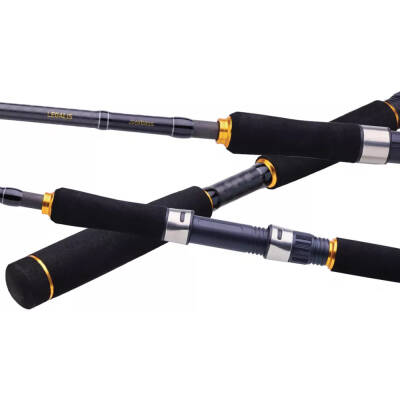 Daiwa Legalis Seabass 2.21m 28-84gr 1+1 Kamış - 2