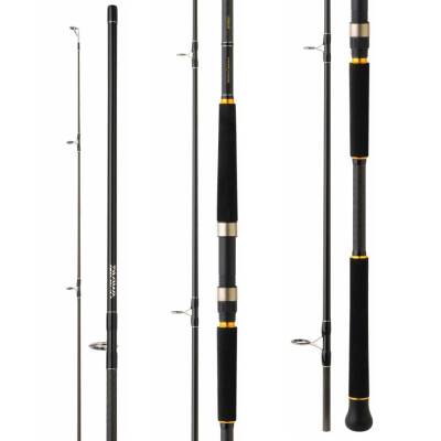 Daiwa Legalis Shore Jigging 290cm 28-84gr Olta Kamışı - 2