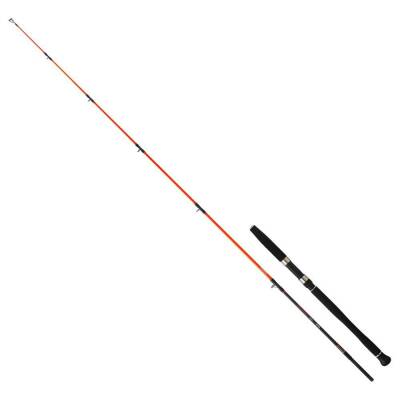 Daiwa Megaforce 1.70m 90-210gr 2p Jig Olta Kamışı - 1