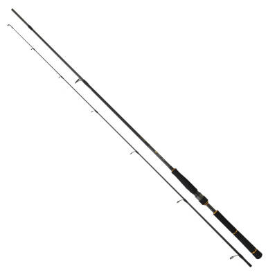 Daiwa New Bg Seabass 2.44m, 14-42gr 2p Spin Olta Kamışı - 1