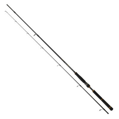 Daiwa New Bg Seabass 2.44m 7-28gr 2p Spin Olta Kamışı - 1