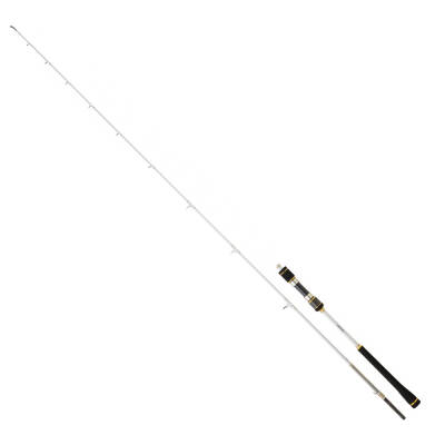 Daiwa New Megaforce 1.70cm 90-210gr 2P Jig Olta Kamışı - 1