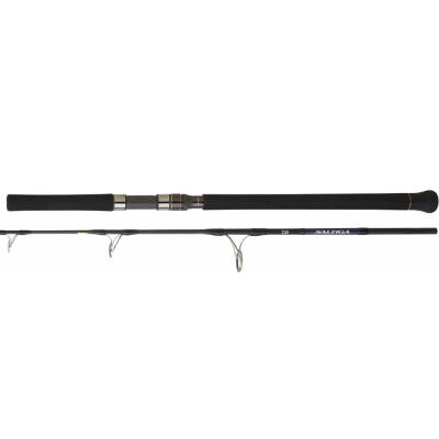 Daiwa New Saltiga AP 1.69m 300gr 2P Jig Olta Kamışı - 2