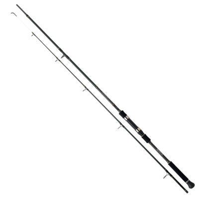 Daiwa Procaster Game 2.40M 30-120gr 2P Olta Kamışı - 1