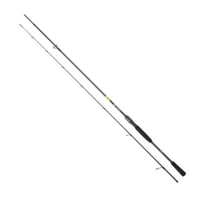 DAIWA PROREX E 2.13M 10-35GR 2P KAMIŞ - 1