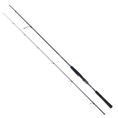 Daiwa Saltist AGS 2.70m 14-42 gr 2P Spin Olta Kamışı - 1