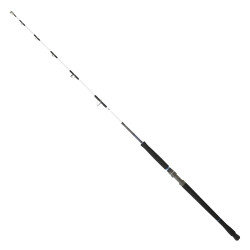 Daiwa Saltist Broume 1.83m 150-600gr Tek Parça Jig Kamış - 1