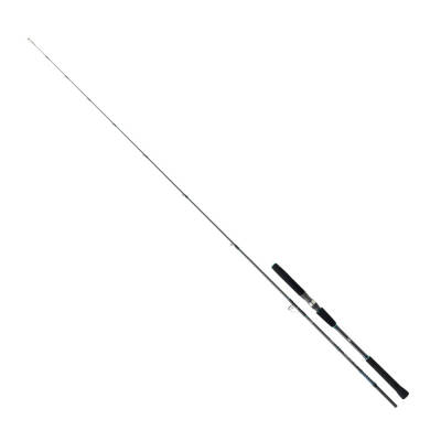 Daiwa Saltist Jigging 1.91m 90-210 gr 2P Jig Olta Kamışı - 1