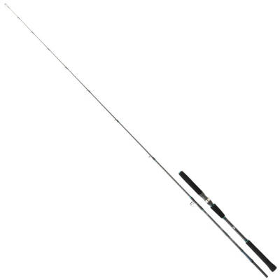 Daiwa Saltist Jigging II 191cm 60-150gr Jigging Olta Kamışı - 1