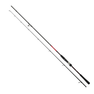 Daiwa Saltist Seabass 2.44m, 14-42gr 2P Olta Kamışı - 1