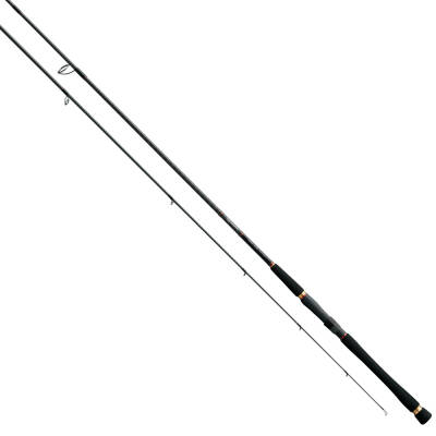 Daiwa Seabass Hunter X 290cm Olta Kamışı - 1