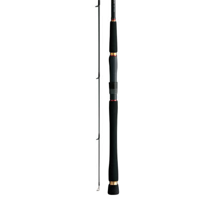 Daiwa Seabass Hunter X 290cm Olta Kamışı - 2