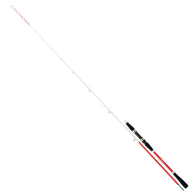 Daiwa Sensor 2.10M 30-120 gr 2P Bot Olta Kamışı - 1