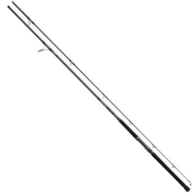 Daiwa Shore Spartan Coastal 2.90M 40-120gr 2P Shore Jig Olta Kamışı - 1