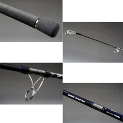 Daiwa Shore Spartan Coastal 2.90M 40-120gr 2P Shore Jig Olta Kamışı - 2