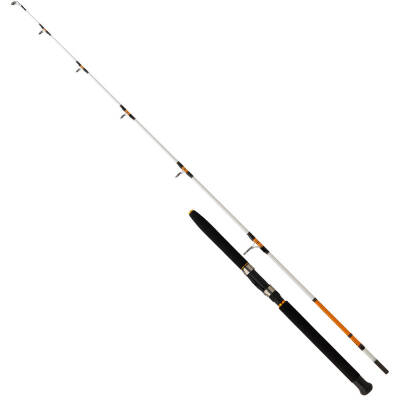 Daiwa Sweepfire Serisi 180cm Olta Kamışı - 1