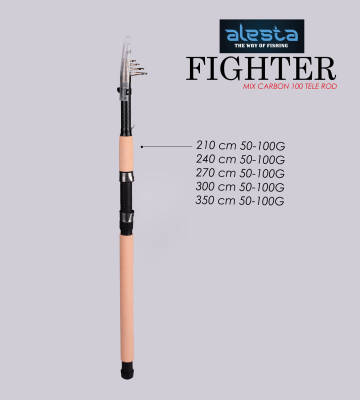 FIGHTER 100 TELE 240 CM 50-100G MIX KARBON - 1