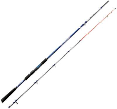 Lineaeffe FF Blue Deep 250cm 150g Tekne Kamışı - 1