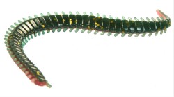 Lucky John Sandworm 2'' Kokulu Lrf Yemi 5 cm - 1